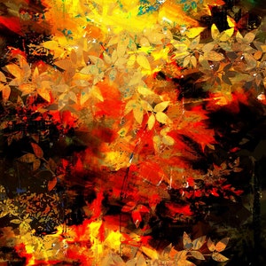 An Early Fall : Wall Art, Canvas and Archival Paper