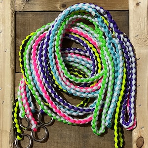 Paracord Slip Leash for Dogs