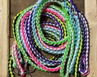 Paracord Slip Leash for Dogs