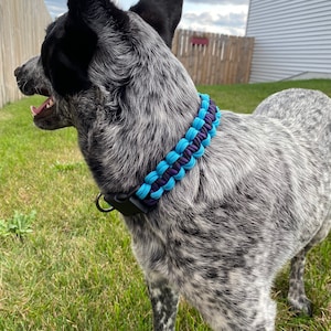 Non-Adjustable Paracord King Cobra Weave with Side Release Buckle