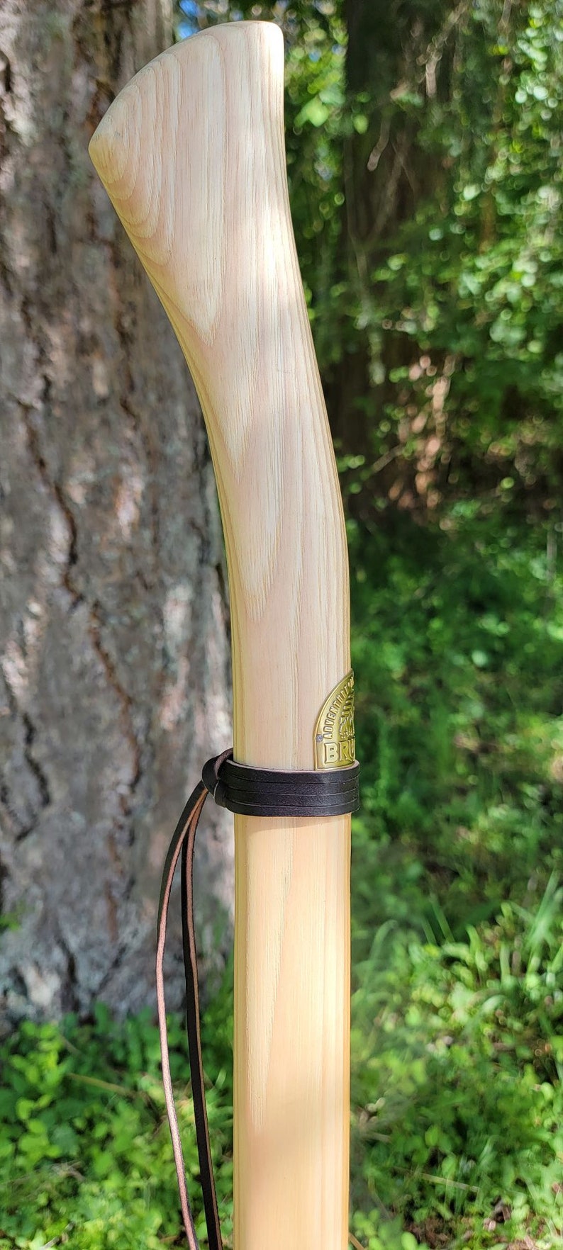 Trekking Style Walking Stick Etsy
