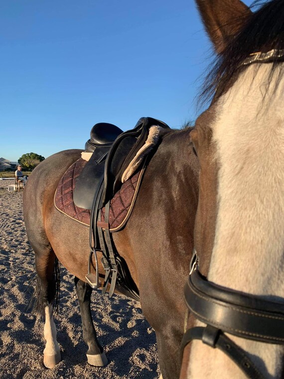 Numnah Sottosella Per Cavalli - Con Cofano Orecchie Abbinato Viola - Foto 6
