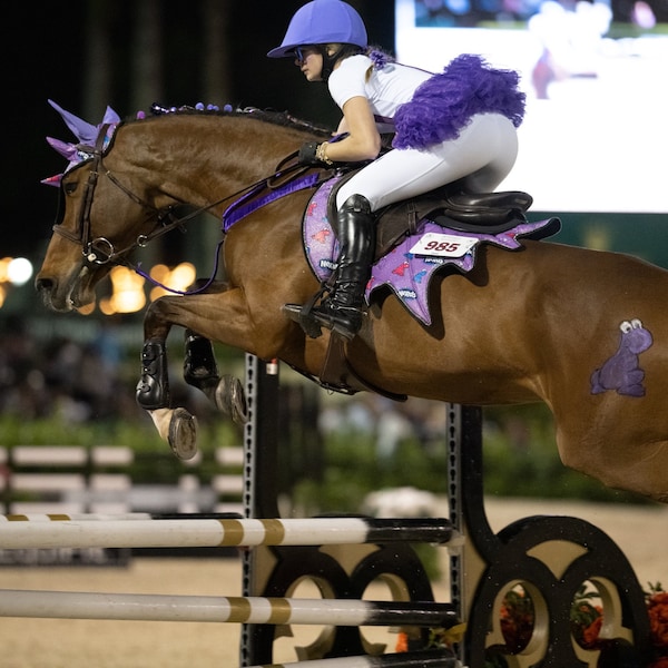 Dragon English Saddle Pad Etsy