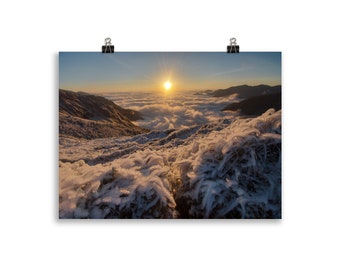 Cartel de Frozen Bamboo in the Mountains at Sunrise