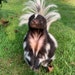 Owner of <a href='https://www.etsy.com/shop/FurkidzCrafts?ref=l2-about-shopname&from_page=listing' class='wt-text-link'>FurkidzCrafts</a>