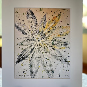 May include: A framed print of a black and white leaf print with a yellow and green background. The leaf print is in the shape of a star.