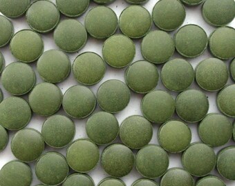 Chlorella Tablets 500g 1kg Premium Botanical Food Treats Supplements for Hamster Chinchilla Bunny Reptile Tortoise Equine - EU Supplier