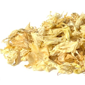 Organic Dried Yucca Flowers 5g Yucca filamentosa - Hand Picked - LIMITED QUANTITY