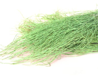 Organic Horsetail - Whole Horsetail Herb for Herbal Tea - Silica Bomb for & Hair Nails - LIMITED QUANTITY