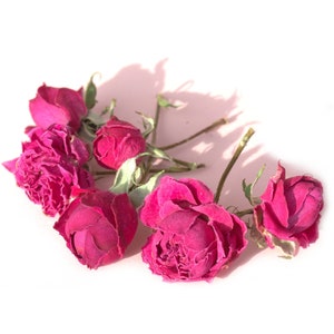 Organic Dried Deep Pink Roses on Stems | DIY Arts Crafts Resin Jewellery Cooking Tonic Cake Wedding Decor - LIMITED QUANTITY
