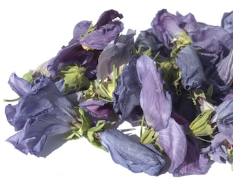 Dried Blue Hibiscus Flowers - Hibiscus Rosa Sinensis - Garden Hibiscus - Hand Picked - LIMITED QUANTITY