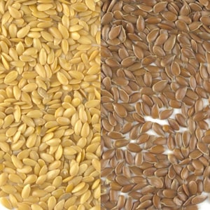 Whole Dried Golden or Brown Linseed 500g 1kg FlaxSeeds - Siemie Lniane - EU Supplier