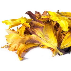 Organic Dried Lily Flowers - Hand Picked - LIMITED QUANTITY