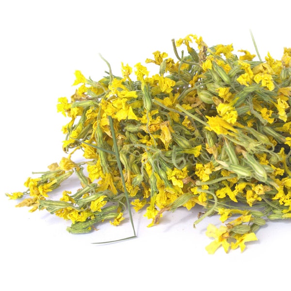 Orgánico Orgánico Primrose 5g Primula veris para DIY Arts Crafts Joyería de resina Té Cocinar Gin Tonic Guarniciones Decoración de pasteles - CANTIDAD LIMITADA