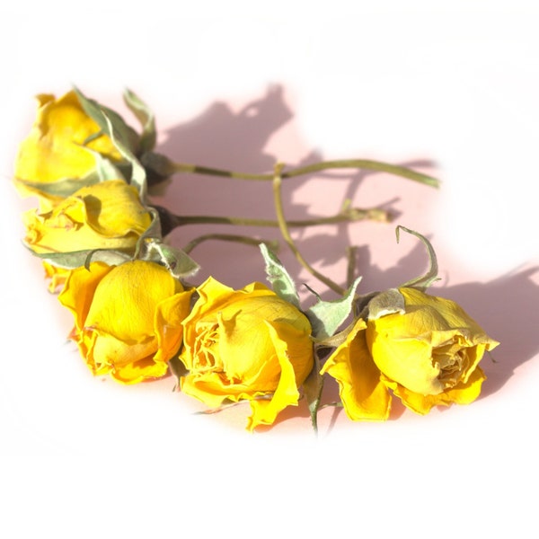 Organic Yellow Roses on Stems  - Yellow  Dried Roses for DIY Arts Crafts Resin Jewellery Cooking Tonic Cake Decor - LIMITED QUANTITY