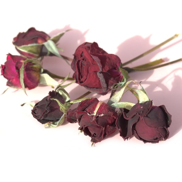 Rose rosse organiche su steli - Rose rosse essiccate per fai da te Arte Artigianato Gioielli in resina Tè Cottura Gin Tonic Cake Decor - QUANTITÀ LIMITATA