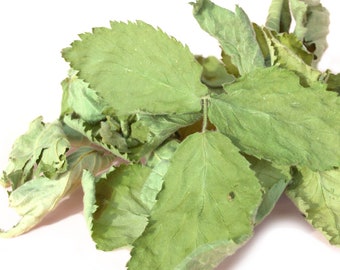 Gedroogd gedroogd heel braamblad - 100% natuurlijke kruidenthee - handgeplukt - BEPERKTE HOEVEELHEID