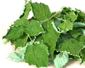 Op de afbeelding: Een stapel groene bladeren met een licht zilverachtige tint. De bladeren zijn in een losse, natuurlijke cluster gerangschikt.