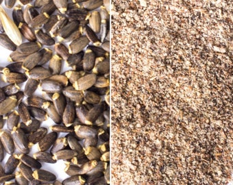 Graines ou poudre de chardon-Marie 500 g 1 kg Silybum Marianum - Ostropest Plamisty Ziarno - Fournisseur de l'UE