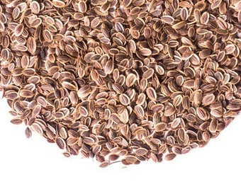 Organic Dill Seeds 25g 200g Whole Dill Seeds - Anethum Graveolens - Dried Dill - Whole Spices - Quality Herbs & Spices