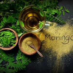 Moringa Powder - Superfoods - HerbalMansion.com