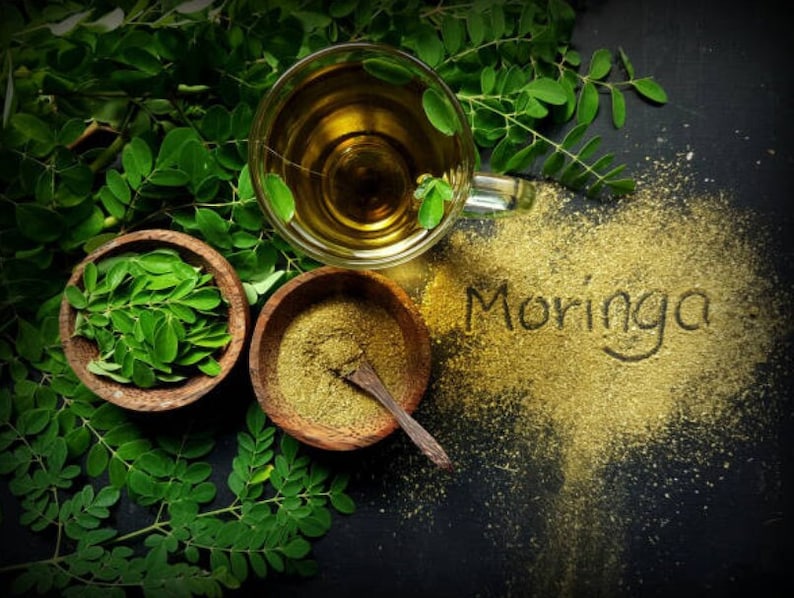 Moringa Powder - Superfoods - HerbalMansion.com
