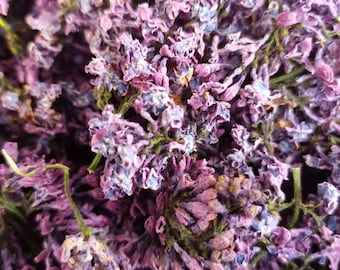 Dried Lilac Flowers - Syringa vulgaris - Hand Picked - LIMITED QUANTITY