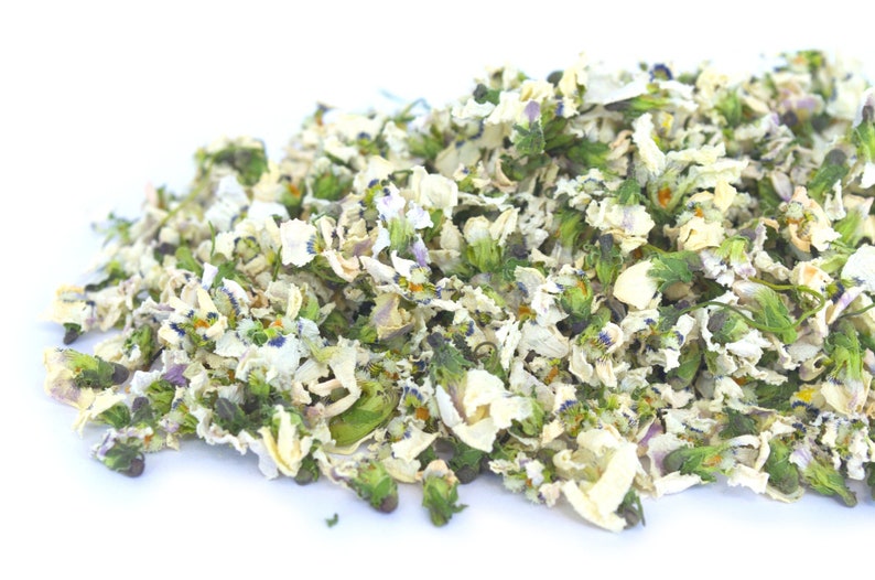 Organic White Sweet Violets 5g Viola Alba for DIY Arts Crafts Resin Jewellery Tea Gin Tonic Garnishes Cake Decor LIMITED QUANTITY image 1