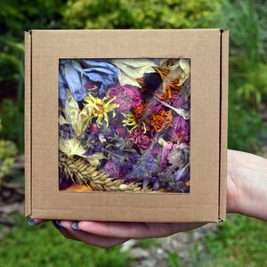 Scatola di fiori secchi - Mix di coriandoli naturali per matrimonio / Bomboniere per matrimonio / Decorazione di coriandoli da tavolo / Corridoio di coriandoli di petali veri Fiori secchi