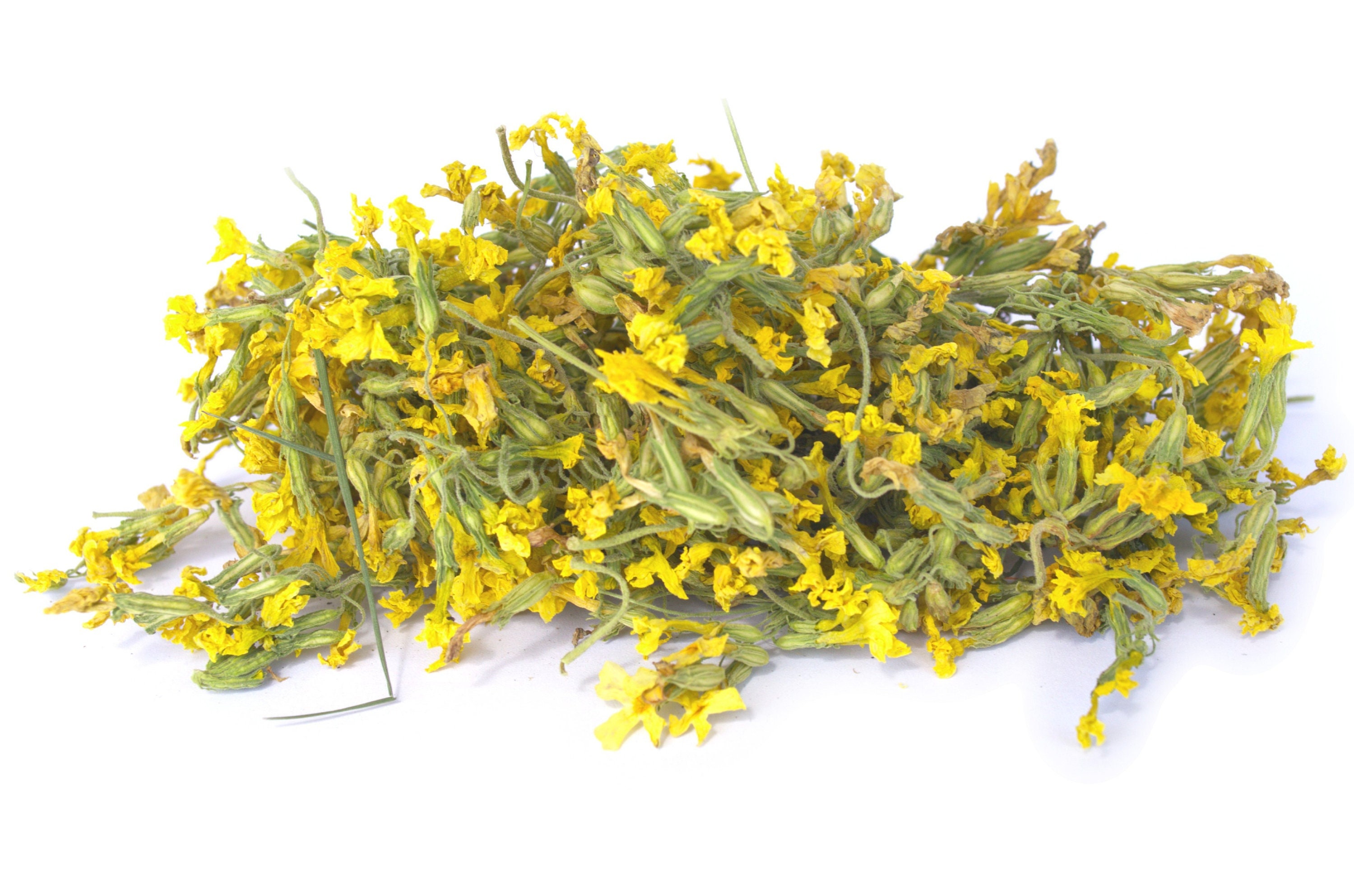 Organic Dried Primrose 5g Primula Veris - Hand Picked - LIMITED QUANTITY