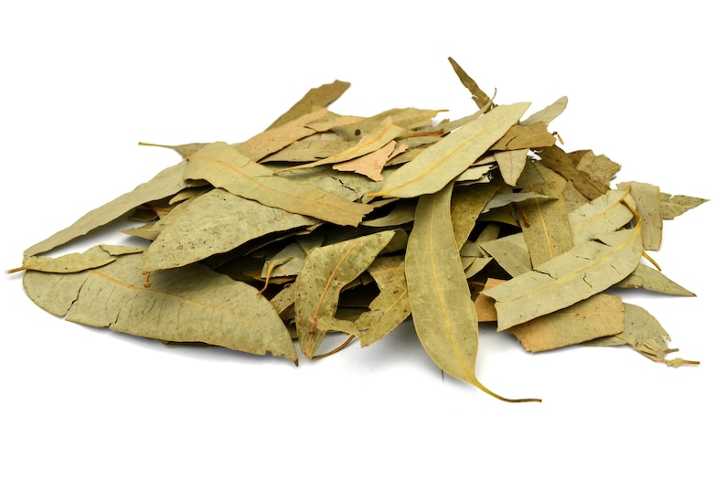 Organic Dried Eucalyptus Leaves 25g 100g Eucalyptus Tea Etsy