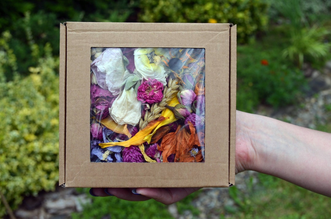 Petali Rosa Essiccati Cayway 18 Tipi Di Fiori Secchi Naturali - Rosa, Gelsomino, Limone Per Resina, Candele E Saponi Acqua Di Cocco