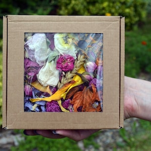 Natural Dried Flower Mix | Flower Box |  DIY Arts Crafts Soap Bath Bomb Candle | Biodegradable Wedding Confetti Flowers
