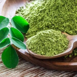 Moringa Powder - Superfoods - HerbalMansion.com