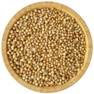 Organic Dried Coriander Seeds 500g - 1kg Coriandrum Sativum - Dhana Cilantro Fruits - Whole Spices - EU Supplier