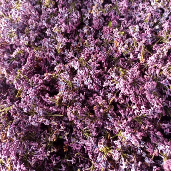 Organic Lilac Flowers - Syringa vulgaris for DIY Arts Crafts Resin Jewellery Tea Cooking Gin Tonic Cake Decor - Light - LIMITED QUANTITY