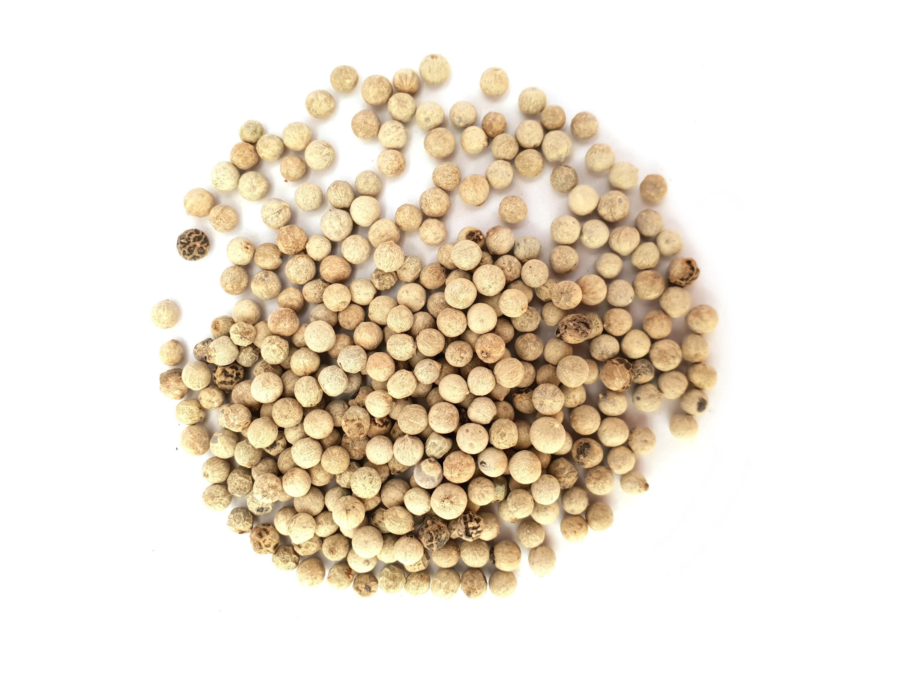 White Peppercorns 25g 100g Whole White Pepper Pepper Corns Etsy Australia