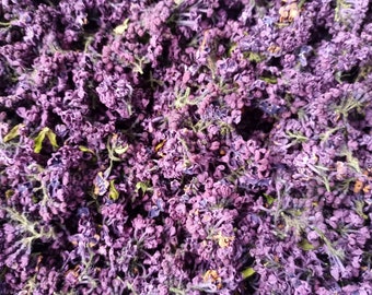 Getrocknete Fliederblüten - Syringa vulgaris - Dark - BEGRENZTE MENGE