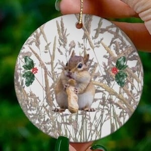 Chipmunks Ornament, Chipmunk Decor, Chipmunk Gifts, I Brake for Critters, Peanut Ornament, Chipmunk Decor, Chipmunk Pictures, Chipmunk Party