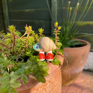 Marcel the Shell