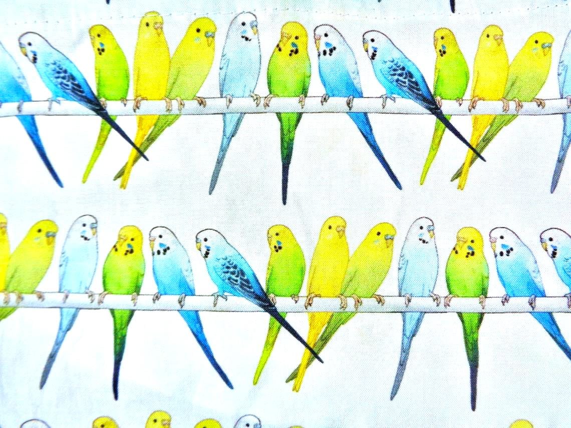 Bird seed cakes México