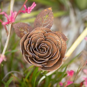 May include: A detailed metal rose sculpture with a weathered, brown finish and white edges. The sculpture has two brown leaves. Pink flowers and green grass are in the background.