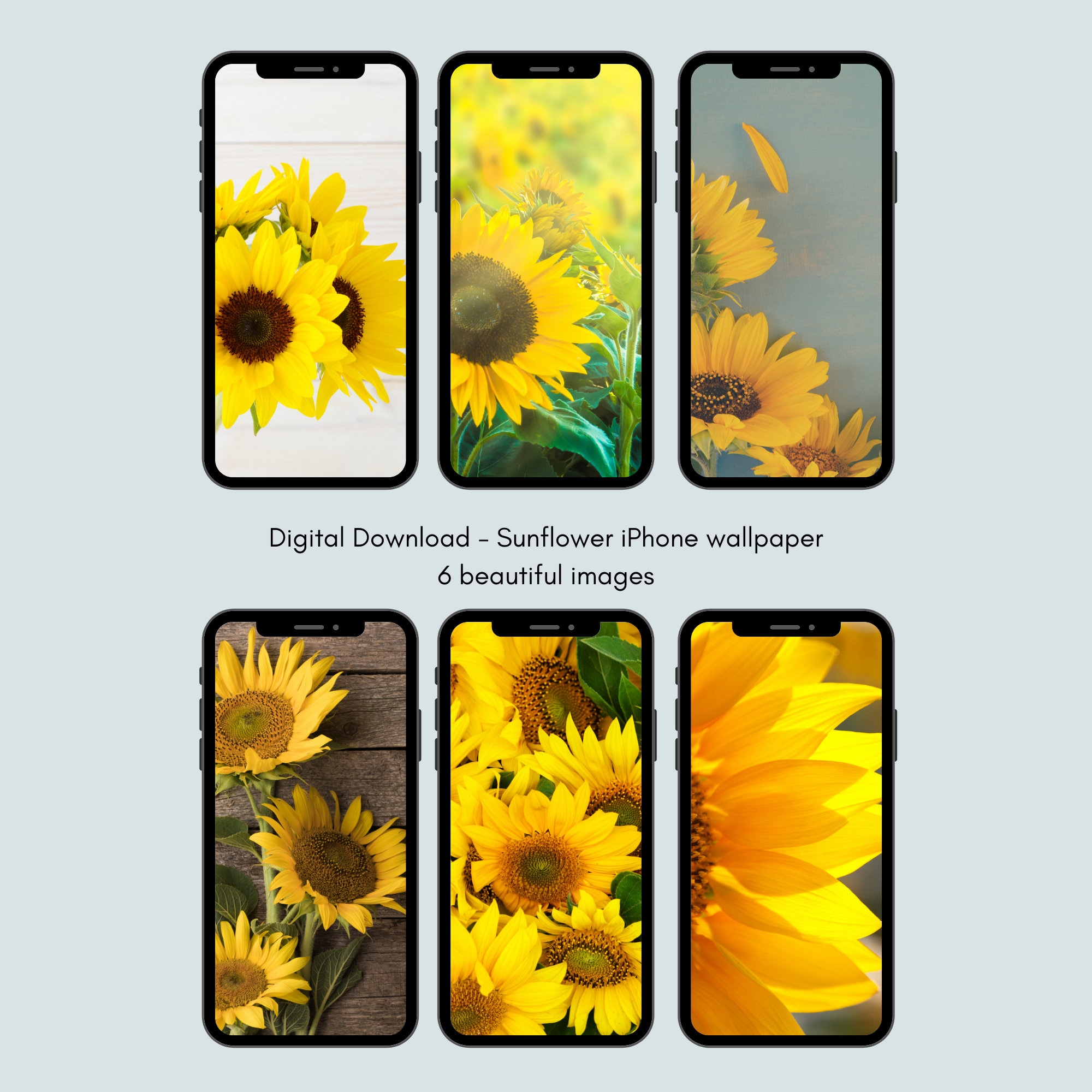 Sunflower iPhone Wallpaper Digital Designs 6 Different Images Etsy