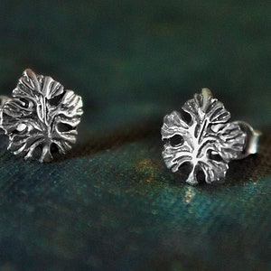 Puede incluir: Un par de pendientes de plata con un diseño de hoja de árbol. Los pendientes son pequeños y delicados, y serían un gran regalo para alguien que ama la naturaleza.