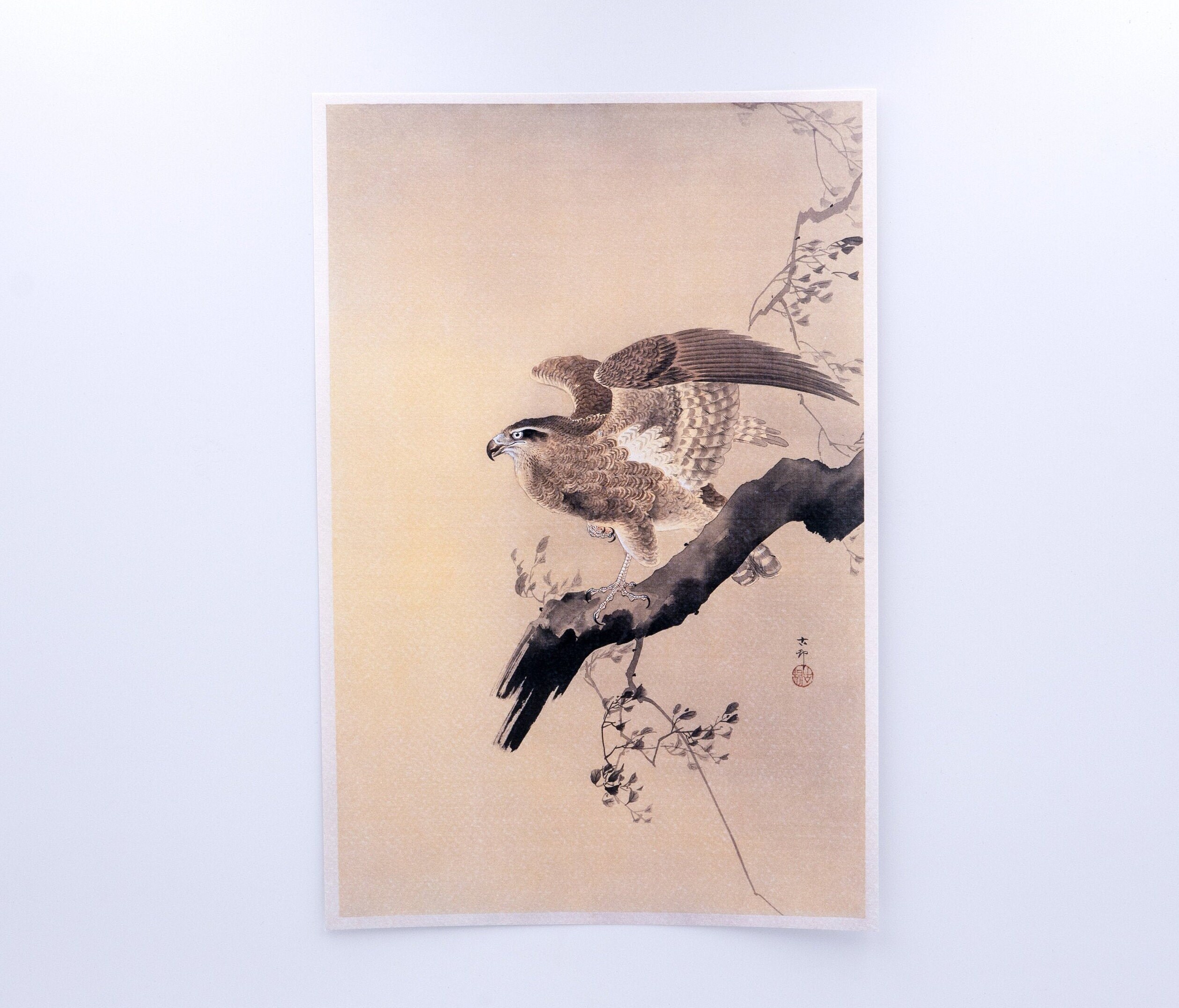 Ohara Koson - Hawk | 1887-1945