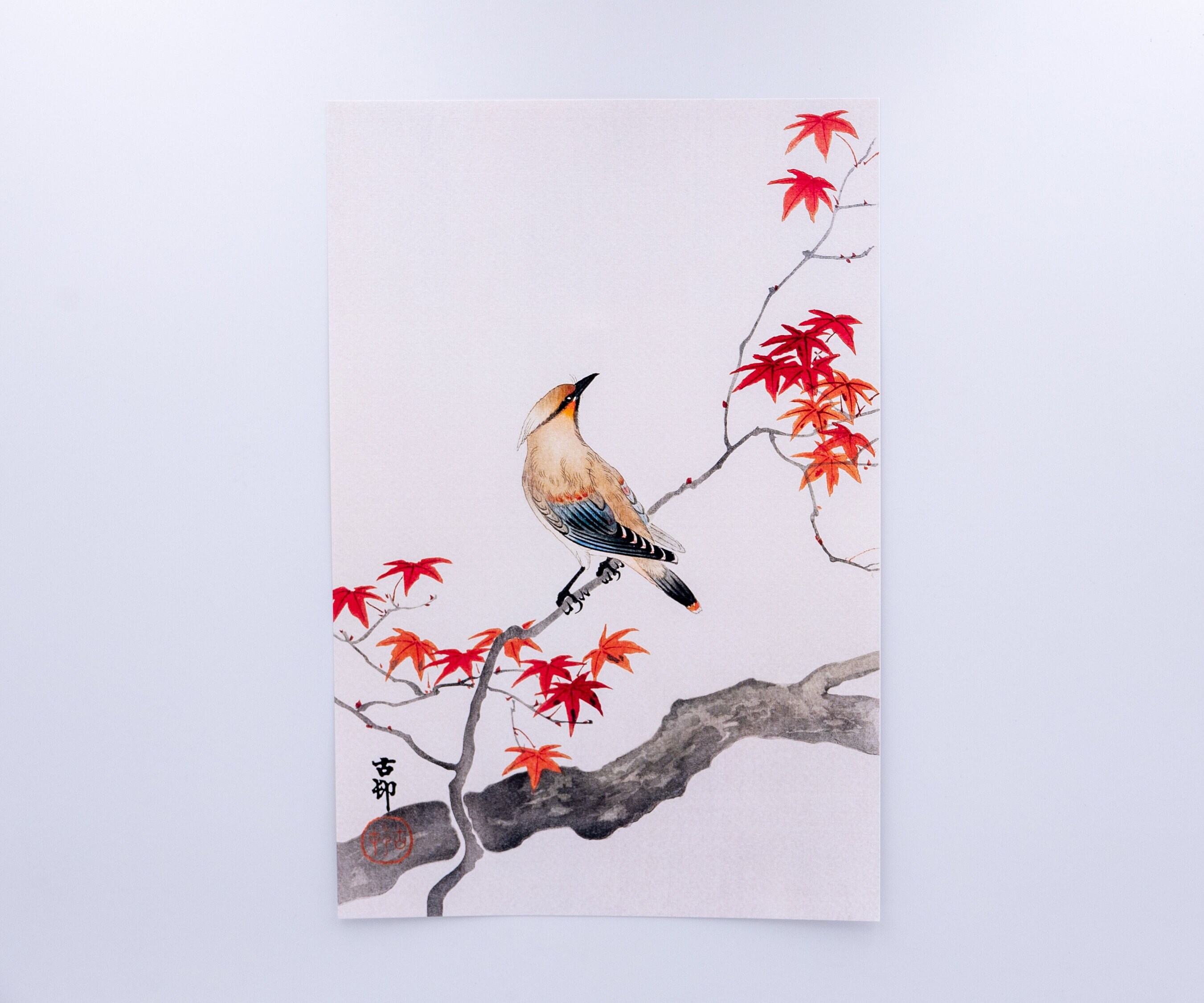 Ohara Koson - Japanese Plague Bird On Maple