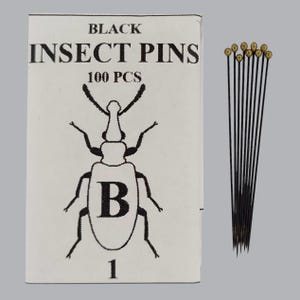 Pode incluir: Uma caixa retangular branca com o rótulo BLACK INSECT PINS 100 PCS e um desenho de linha preta de um besouro com a letra B e o número 1. Ao lado da caixa estão vários alfinetes de insetos pretos longos com cabeças douradas redondas.