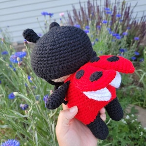 Little Lucy Ladybug