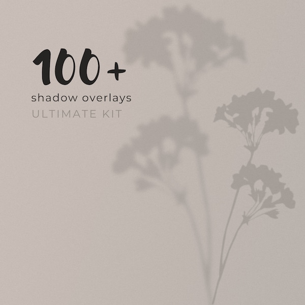 100+ Shadow Overlay PNG Pack | Sunlight Overlay | Product Photography Props | Instagram Story Stickers | Photo Overlays | Digital Download