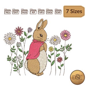 Diseño de bordado de conejo Peter Rabbit